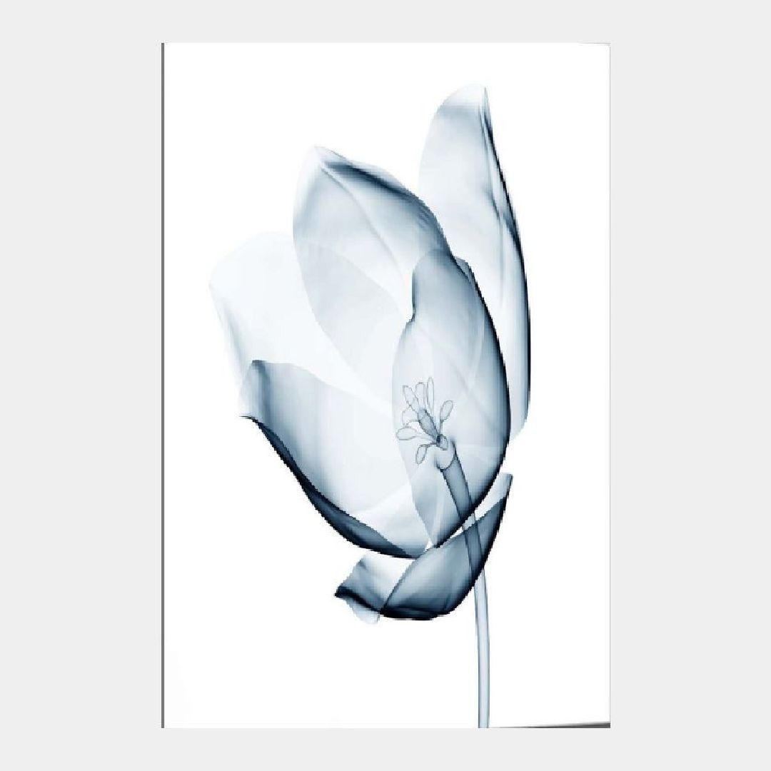 постер синий цветок тюльпан холст